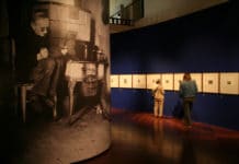 Skutečný Reynek se zjeví těm, kdo v něj uvěří, marketingovým prorokům navzdory.