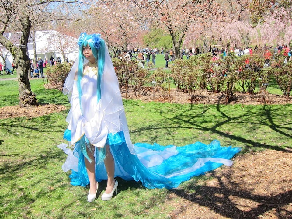 Sakura Matsuri Festival