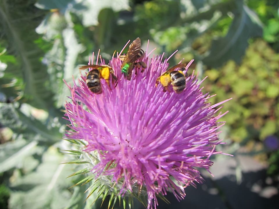 19881383728_56045e4b7c_o