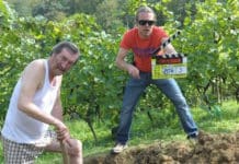 První slza dojetí? Domácí péče.