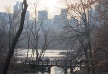 Central Park mýma očima (a objektivem)