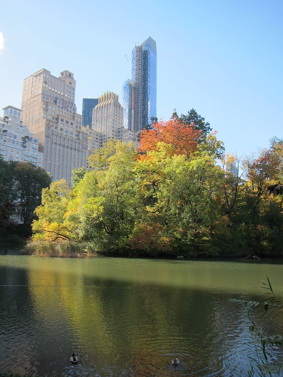 Central Park
