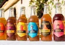 Pragomošt – limonády, které si získaly naše srdce