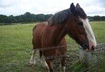 Pět tipů, kam vyrazit na podzimní dovolenou