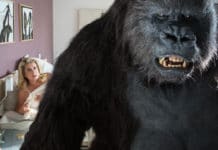 Ve Zbrusu Nový zákon uvěříte, či neuvěříte, ale stoprocentně se budete bavit!