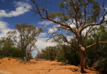 Austrálie, díl druhý – The Outback