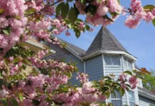 Projí(s)t se Brooklynem