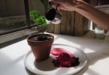 Top 20 zážitků v New Yorku