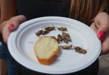 Fotoreport: Bosch Fresh Festival Pardubice nabídl tradiční i extrémní kuchyni