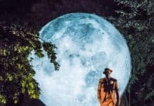 Divadelní recenze: Běží liška k Táboru… a pak ještě až do Krumlova