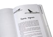 Recenze knihy: Anna a Vlaštovčí muž