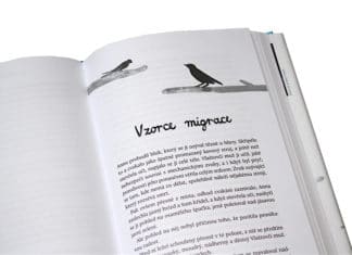 Recenze knihy: Anna a Vlaštovčí muž