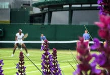 Fotoreport: WIMBLEDON 2016