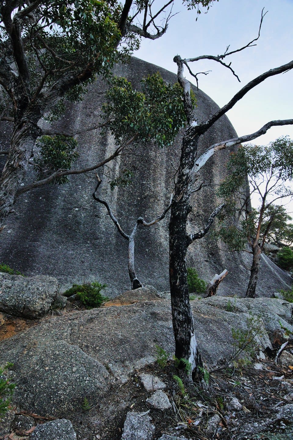 20141108.105048.zvon