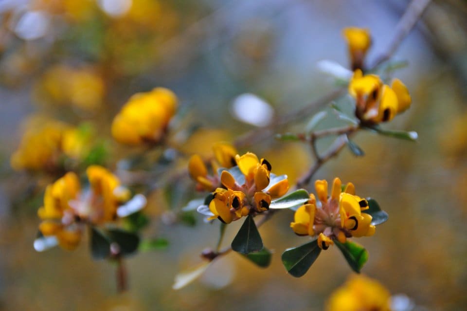 20141109.020912.kviti