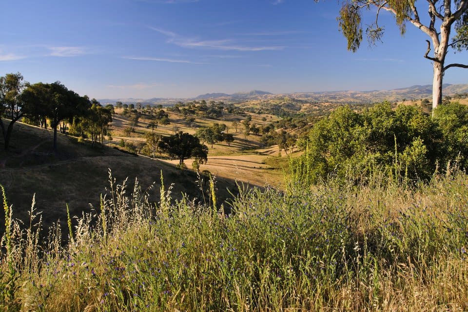 Australie sjezd do niziny