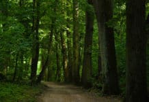 Vyražte do Znojma za zábavou, kulturou i turistikou