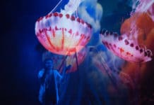 RECENZE: Třikrát stařec a jednou moře