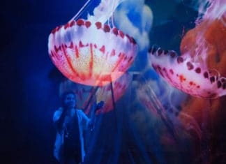 RECENZE: Třikrát stařec a jednou moře