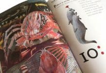 Alenka v kraji divů a za zrcadlem: mimořádně ošklivá, nebo geniálně krásná kniha?