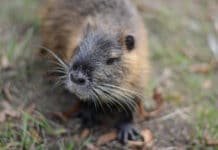 Tip na výlet: Hradec Králové v barvách podzimu