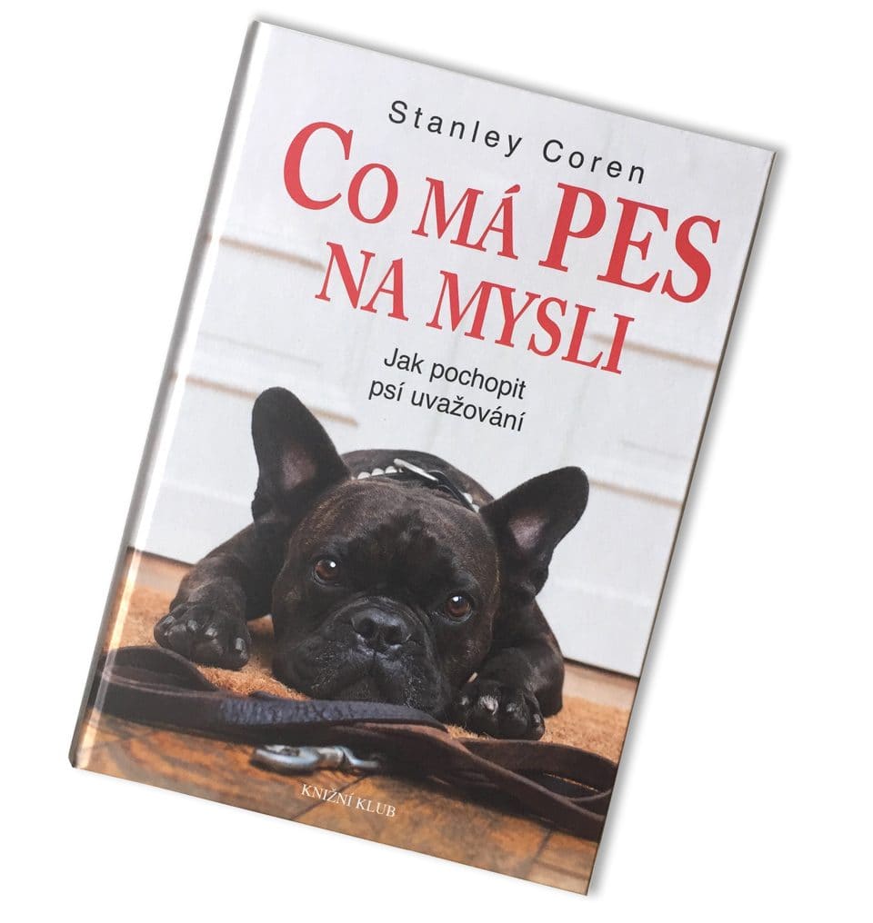 co-ma-pes-na-mysli-finale