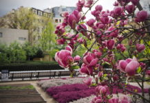 Toulky hlavním městem aneb Kam se zašít před davy a přitom stále objevovat
