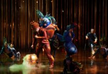 Varekai: Cirque du Soleil předvedl v Praze pestrobarevné šílenství