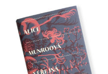 Kniha Veřejná tajemství: nejnovější přeložená sbírka od mistryně povídek