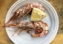 Pražský piknik nabídl pestré chutě i posezení v trávě