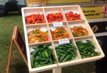 (FOTO)REPORT – Chillibraní 2017 & Apetit piknik: Píseň ohně a… ohně