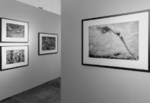 (FOTO)REPORT z výstavy Genesis: Křehká monumentalita