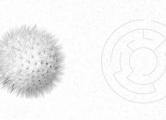 13 knižních novinek, které zpříjemní pestrobarevný podzim i sněhovou nadílku