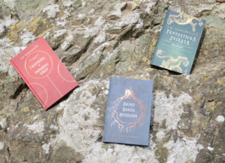 J. K. Rowling: Fantastický Beedleyho famfrpál a kde ho najít