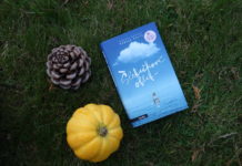 Knižní recenze: Cesta ke štěstí vede přes šlehačková oblaka