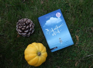 Knižní recenze: Cesta ke štěstí vede přes šlehačková oblaka