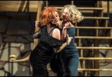 Divadelní recenze: Co skrývá Osm žen?