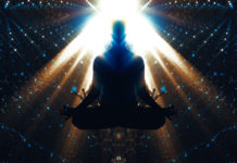 Film Bufo Alvarius – The Underground Secret. Magical Mystery Tour pro 21. století