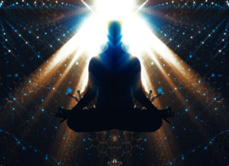 Film Bufo Alvarius – The Underground Secret. Magical Mystery Tour pro 21. století