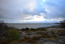 Proč je Göteborg jedno z nejekologičtějších měst světa?