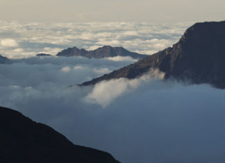 Dokument Hora: Když dvě skvělé věci nefungují dohromady