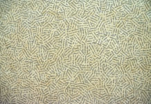 Jiří Kolář a smrt Pražského jara v paláci Kinských