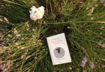 Knižní tipy #65 nakladatelství Host