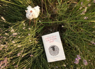 Knižní tipy #65 nakladatelství Host