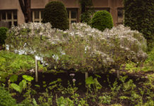 Federico Díaz je novým rezidentem Slovanského domu