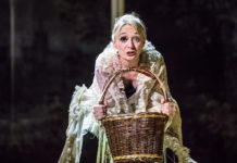 Sen v červeném domě si budete chtít pamatovat i po probuzení