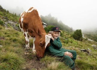 Dokument Sourozenci (2013). Nádherná příroda a dechberoucí život