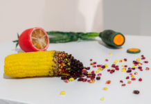 Stanislav Libenský Award 2018: Jubilejní desátý ročník soutěže ovládl čínský umělec