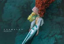 RECENZE: Never Sol a její magické Chamaleo