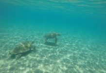 Zakynthos – Ráj, nebo noční můra?